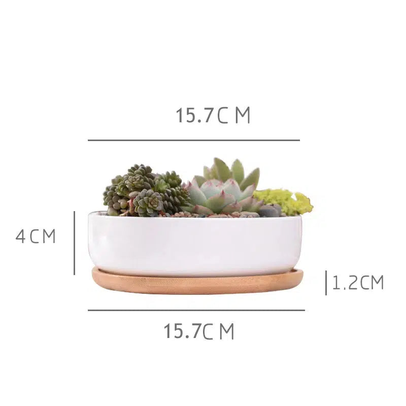 1 Set Minimalist White Ceramic Flower Pot-Plant & Flower Bulbs-Arlik interiors