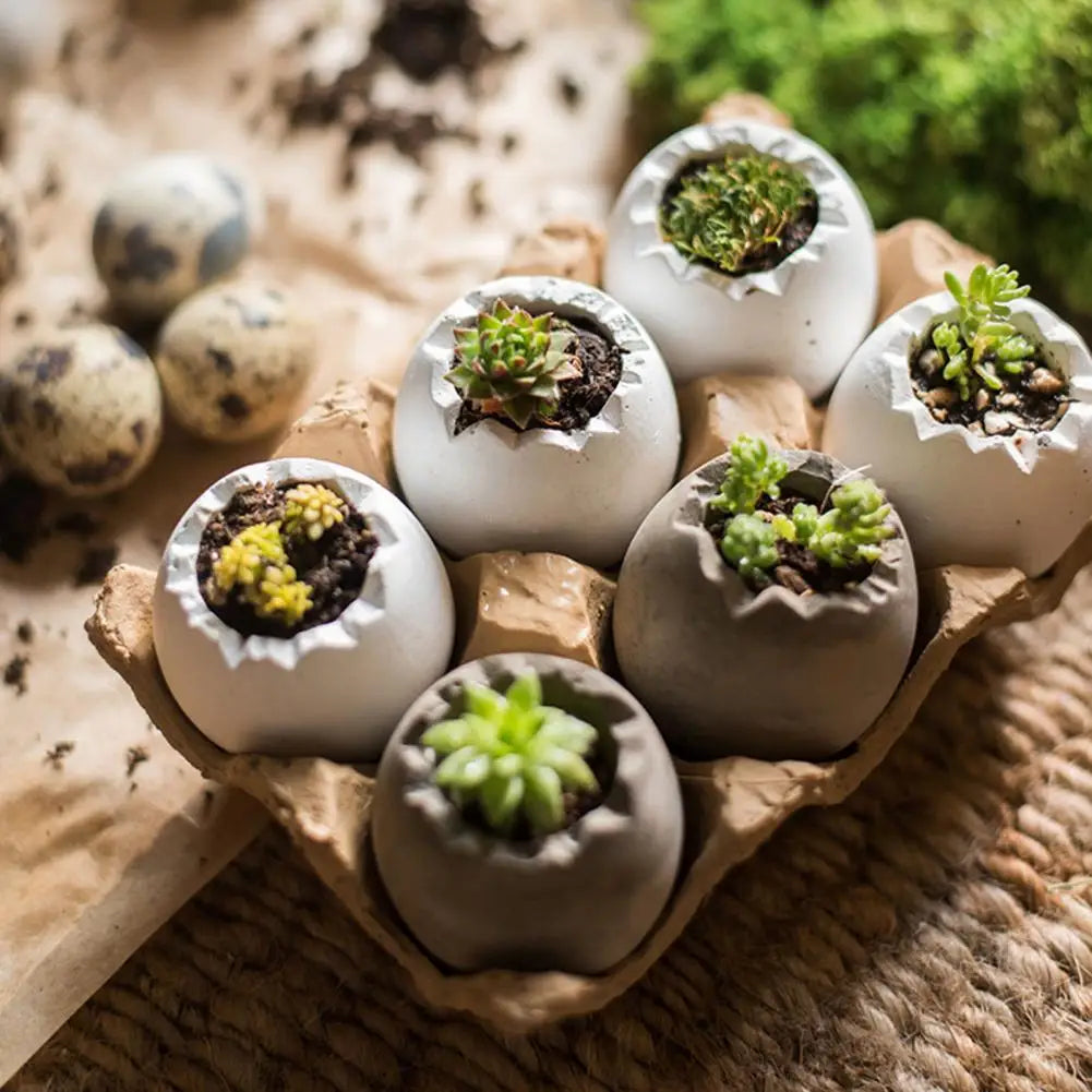 6Pcs Eggshell Mini Succulent Planter with Base Outdoor Egg-shaped Flowerpot